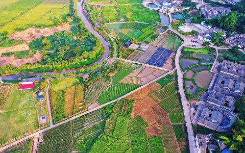 九合垸原种场绘就乡村振兴新图景