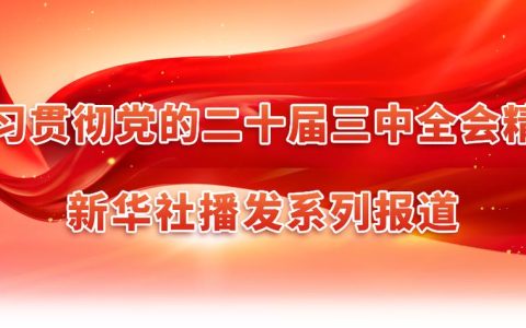 市政府召开常务会议  推动学习贯彻党的二十届四中全会精神走深走实