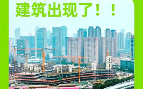 国家级智库专家解读武汉城市更新，推动城市内涵式发展的战略之举