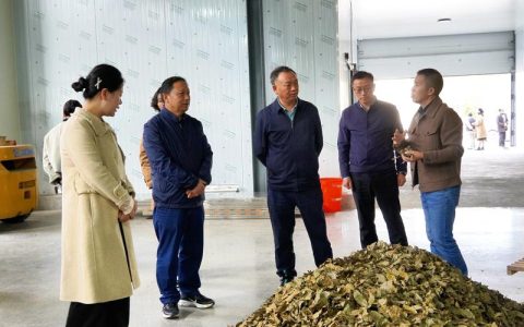 鹤峰县开展县级储备粮轮换空仓核验工作