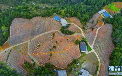 恩施州新增4个省级优质农产品生产基地