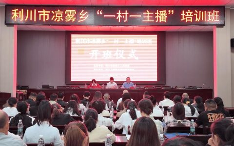 利川市推动33件民生实事落地