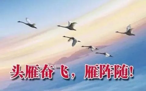 “头雁”领飞强堡垒