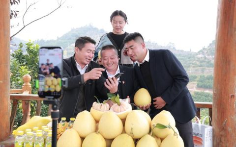 宣恩贡水白柚亮相湖北柑橘新疆推介活动