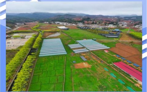 宣恩县“一地一策”盘活存量土地