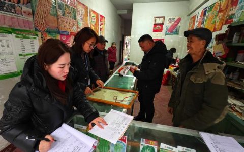 宣恩县椿木营乡加强农资巡查保春耕