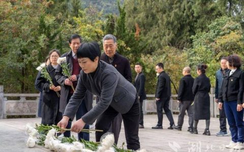 咸丰县清坪镇开展文明祭祀活动