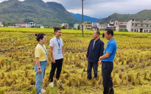 咸丰县：下沉监督确保安“燃”无恙