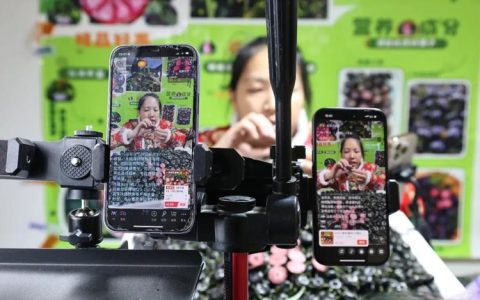 “村播”共探电商致富经