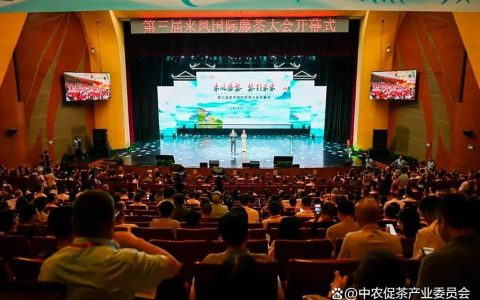 第三届来凤国际藤茶大会开幕