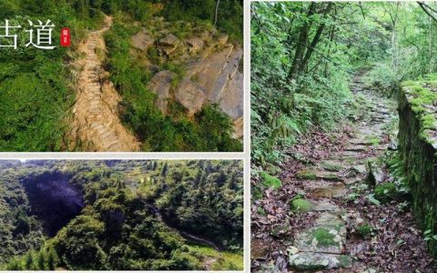 万里茶道鹤峰段申遗之路成果发布