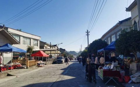 鹤峰“流动集市”入选省级项目库