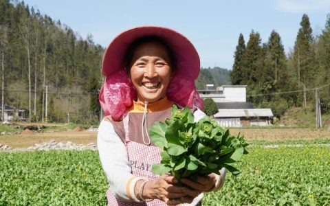 鹤峰：深山蔬菜进港澳
