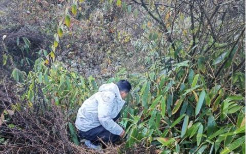 鹤峰县对43条河流开展水质监测