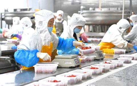 全力开展小龙虾工厂化繁育科研攻关