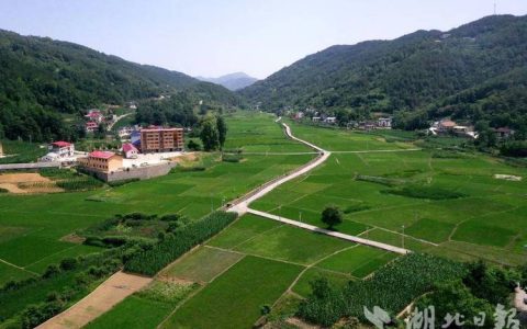 湖北省推介新型农村集体经济典型村巴东县金果坪乡入选