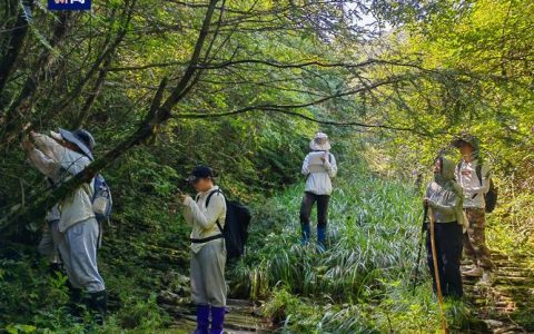 世界自然保护联盟绿色名录添新湖北木林子国家级自然保护区入选