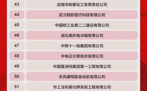 武汉2家企业入选全国最高等级智能工厂