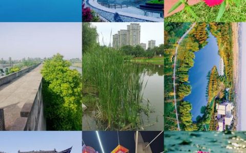 仙桃群众文化活动的“穿灯人”——记市群众艺术馆副馆长夏利华