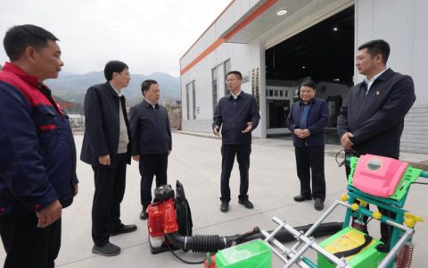 熊征宇调研三峡水运新通道项目筹建工作