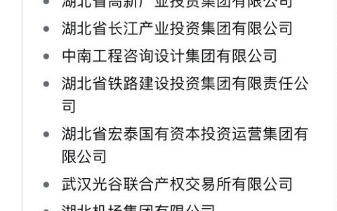 湖北造！央国企首个！