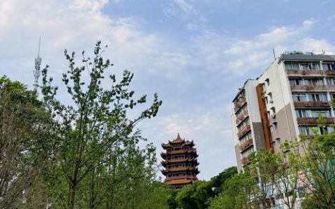 “小众社区”蝶变“超级旅游目的地” 武汉城市更新“有根有魂有活力”