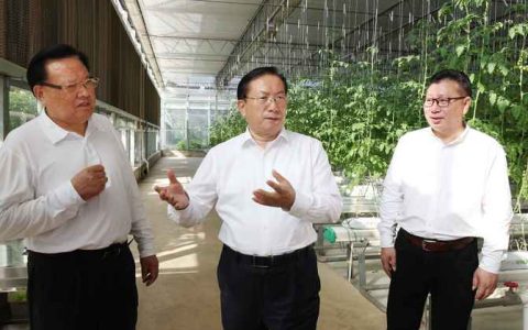 王忠林主持召开部分市县党委书记座谈会 征求对我省“十五五”规划编制的意见建议