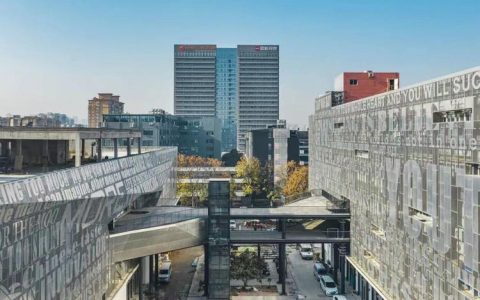 江汉创谷6号跨境电商产业园开园 开播不到半小时在线人数过万