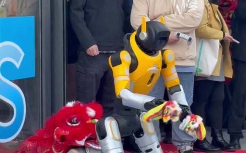 “销冠”2万多台，武汉开设全国首家人形机器人7S店促销机器人
