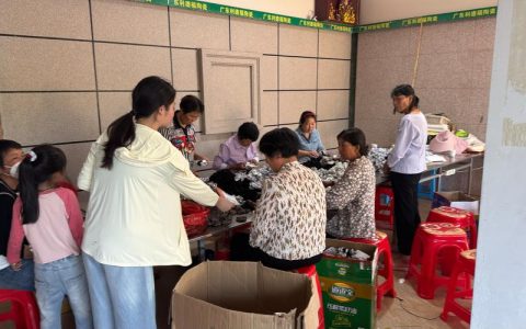 排湖筑牢“五小车辆”安全网