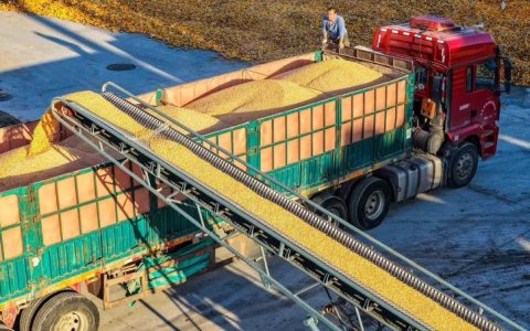 科技烘储助力秋粮颗粒归仓