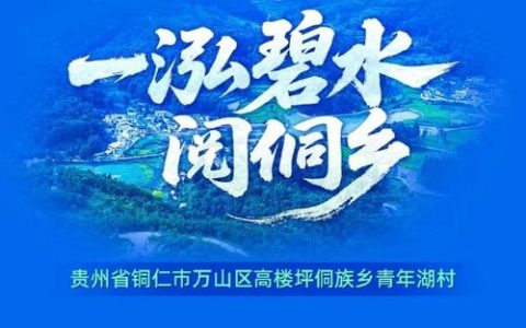 长江大保护十周年·百村蹲点调研行 | 一纸碳票，唤醒侗乡沉睡林海 ——从“斧头经济”到“碳汇经济”的十年嬗变