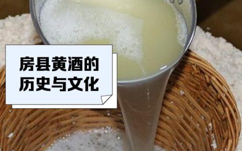 聚焦建议提案办理系列报道④ | 黄酒焕新 香飘海外 ——十堰多措并举推动房县黄酒“走出去”
