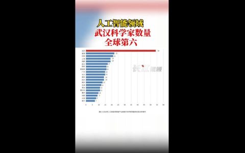 人工智能领域，武汉顶尖科学家数量全球第6