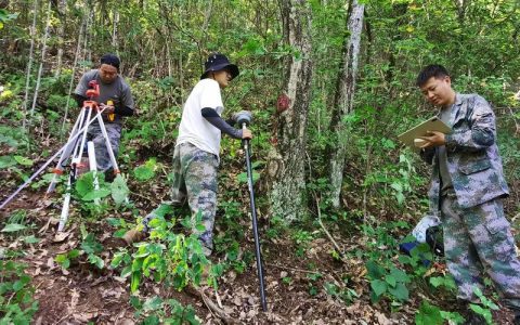 新建30个万树村管护“林草湿”资源 仙桃林长制效能再升级