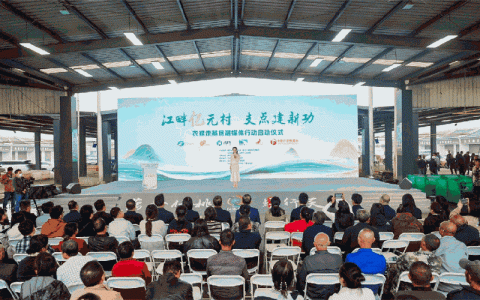 仙桃乡村振兴实用技术斩获省级二等奖