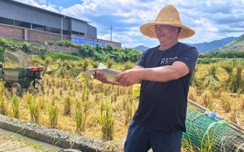 让村民“赚钱顾家两不误”