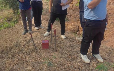 周矶街道开展村民建房用地核查