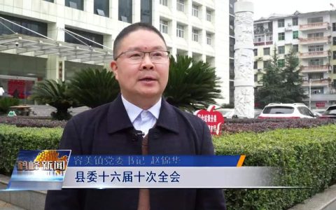 鹤峰县容美镇：“三步走”激活基层治理新效能