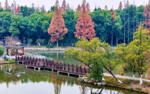 荆州：以“绿”破局 奏响“诗意栖居”大合唱