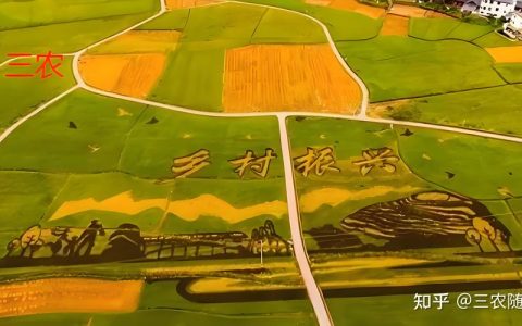 潜江：碎田整合+设施升级 激活乡村振兴“田动力”