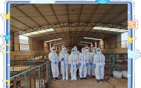 鹤峰县全面评估秋季动物防疫工作成效