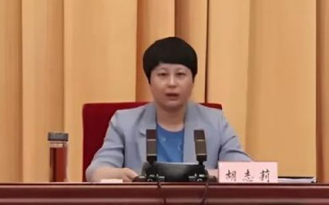 胡志莉主持召开市政府常务会议