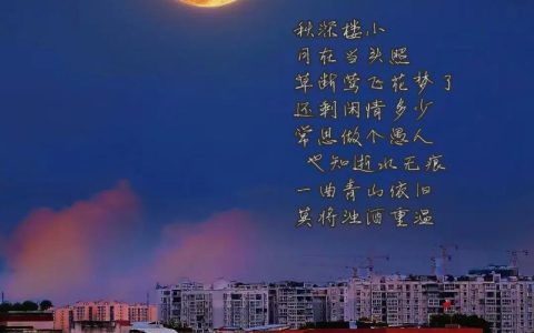 “一轮明月”耀安陆