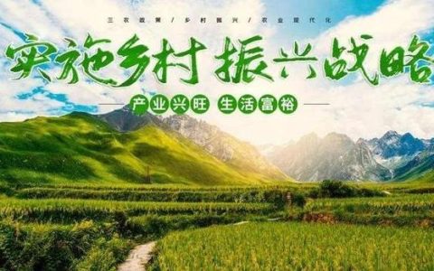 特色产业多点开花　激活乡村振兴新引擎