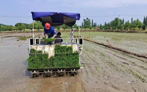 四望镇亿元农业项目开工助力现代农业强镇建设