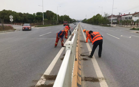 黄州区交通公路部门开展公路路树专项清理 保障道路通行安畅