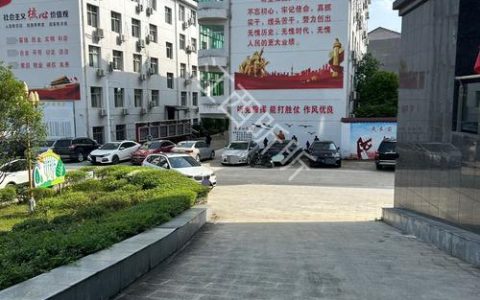 武穴街道樟树下社区改造主干道