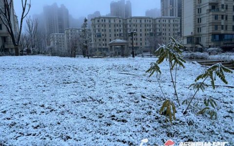 我市迎来立冬后首场降雪