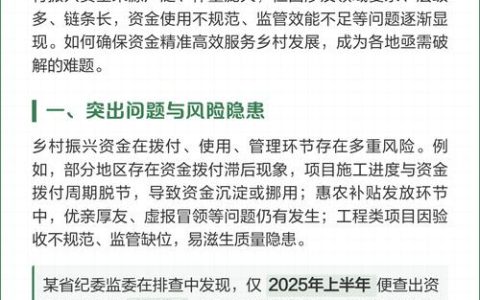 我市开展乡村振兴项目资金使用监管突出问题专项整治工作